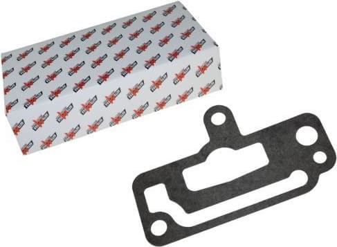 Gasket, coolant flange 190054510