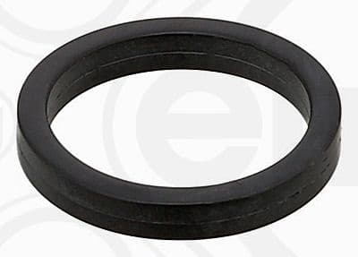 Gasket, timing case 631.760