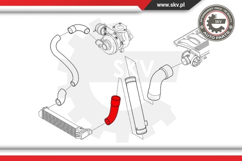 Charge Air Hose 24SKV541 - image 4