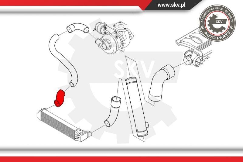 Charge Air Hose 24SKV530 - image 3