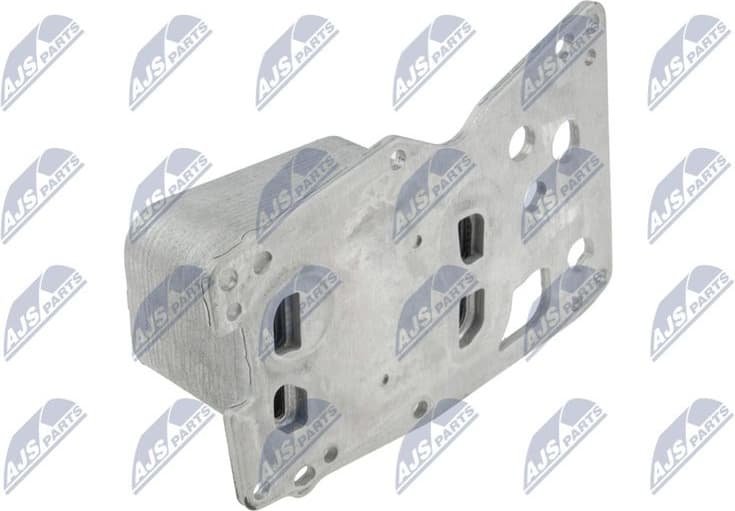 CCL-BM-038 - image 2