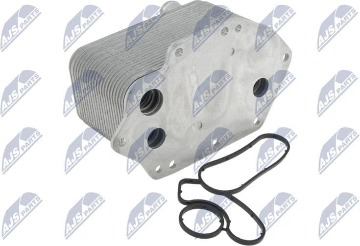 CCL-BM-037 - image 2