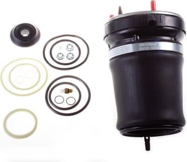Air Spring, suspension DSA108G