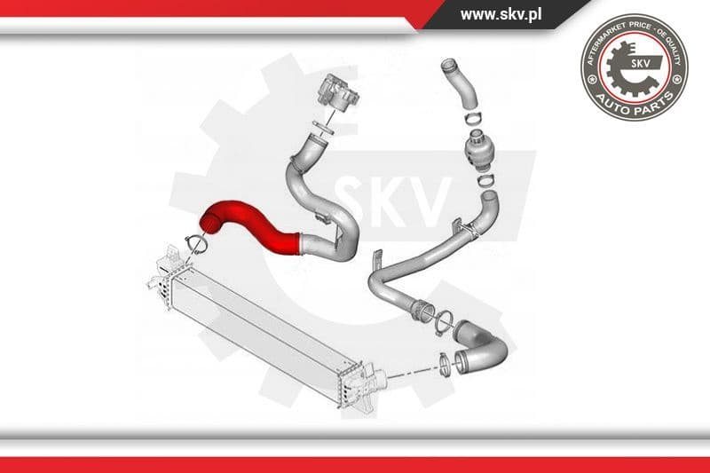 Charge Air Hose 24SKV553 - image 4