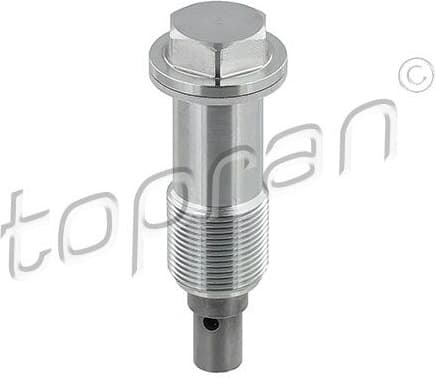 Tensioner, timing chain 408 978