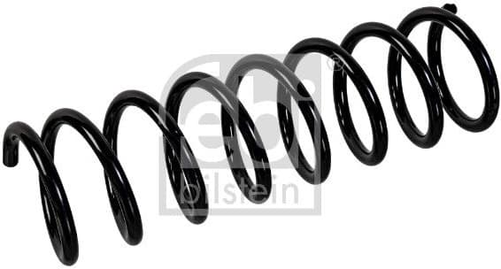 Suspension Spring 176269