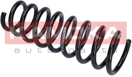 Suspension Spring 2120276 - image 6