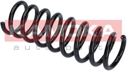 Suspension Spring 2120276 - image 8