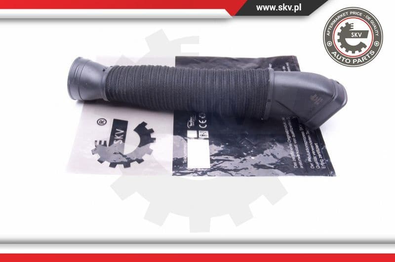 Intake Hose, air filter 43SKV920