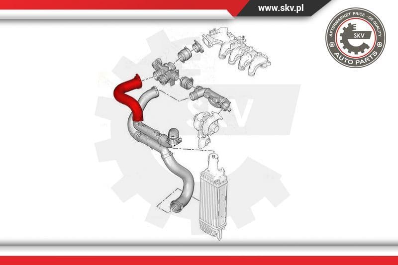 Charge Air Hose 24SKV554 - image 4