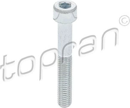 Bolt, brake caliper 110 707