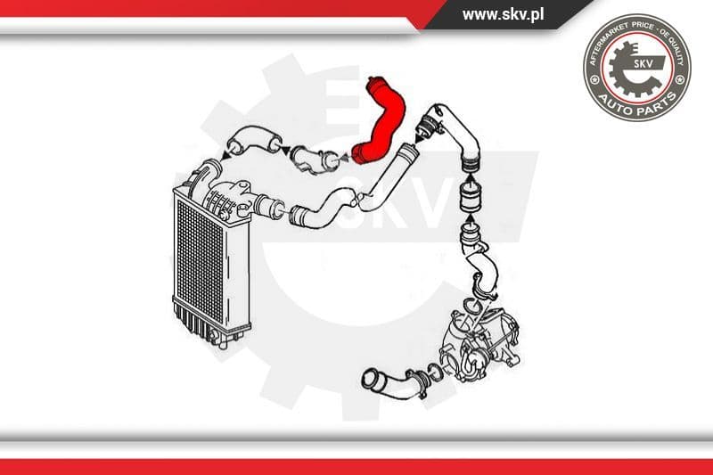 Charge Air Hose 24SKV551 - image 4