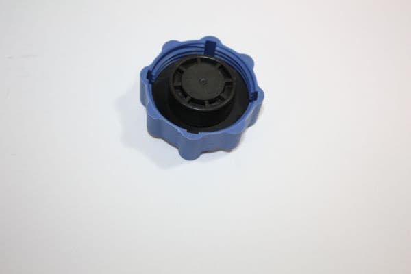 Cap, coolant tank 160055810