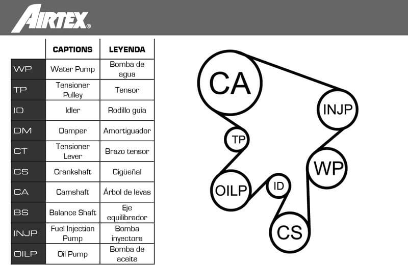 Water Pump & Timing Belt Kit WPK-169901 - image 2