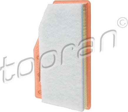 Air Filter 209 019