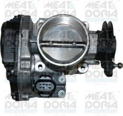 Throttle Body 89020