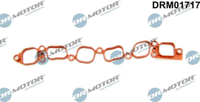 Gasket, intake manifold DRM01717