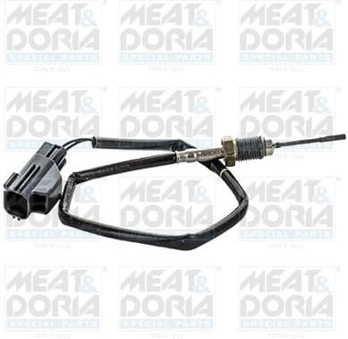 Sensor, exhaust gas temperature 12432