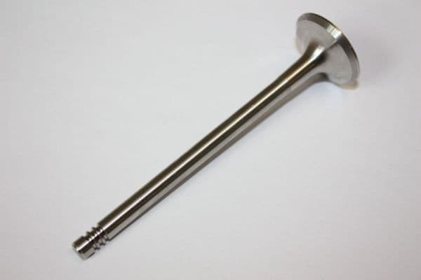 Exhaust Valve 130097110
