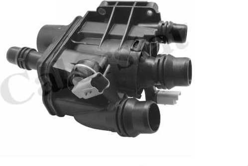 Thermostat, coolant TE2113.97J