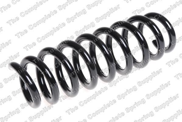 Suspension Spring 4208467
