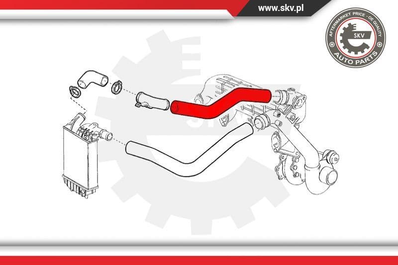 Charge Air Hose 24SKV567 - image 4