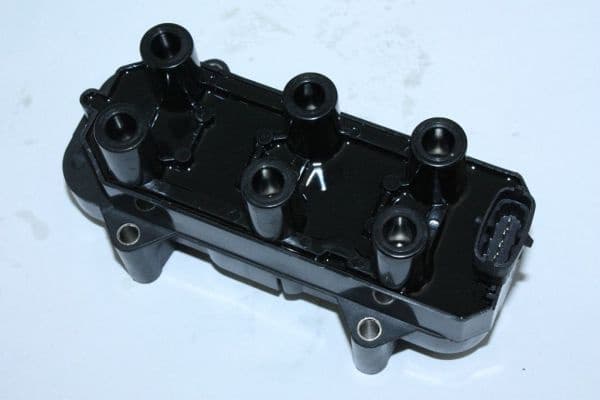 Ignition Coil 150093110