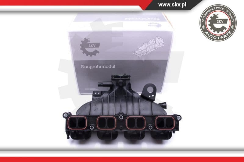 Intake Manifold Module 49SKV001