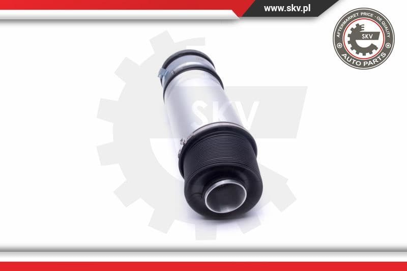 Air Suspension Strut 58SKV063 - image 3