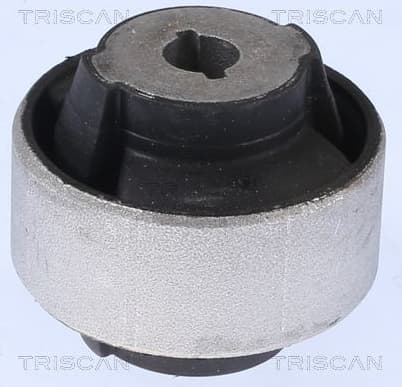 Mounting, control/trailing arm 8500 10887