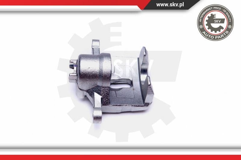 Brake Caliper 42SKV473