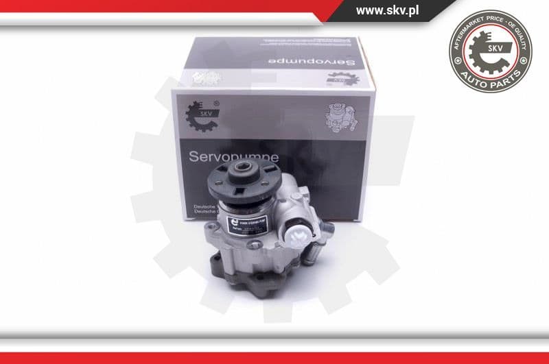 Hydraulic Pump, steering 10SKV312