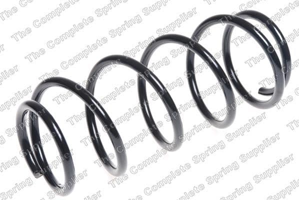 Suspension Spring 4262068