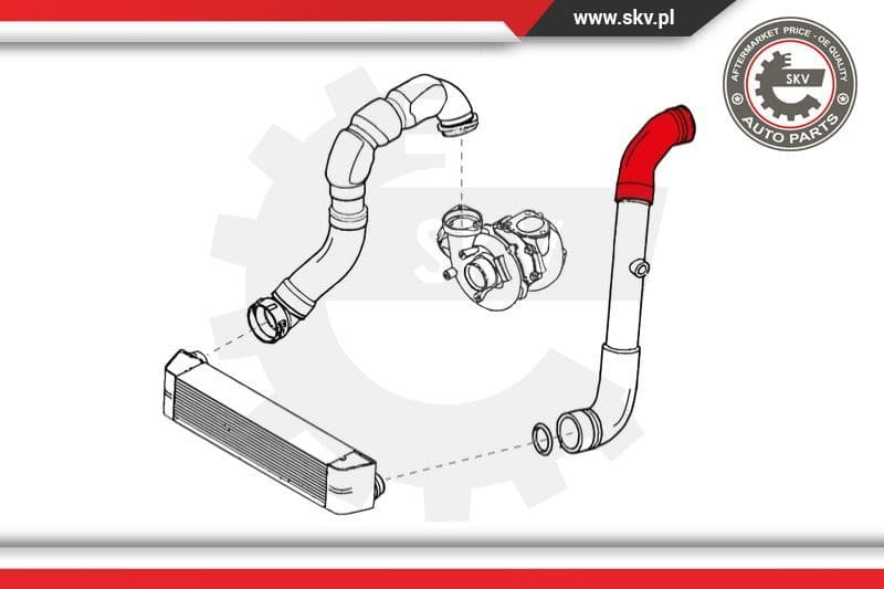 Charge Air Hose 24SKV547 - image 4
