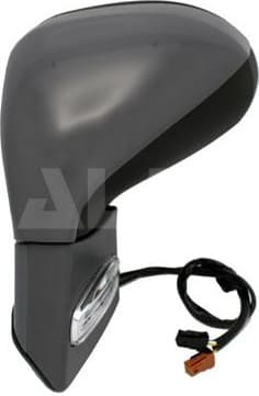 Exterior Mirror 6139308