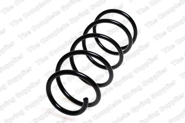 Suspension Spring 4248410