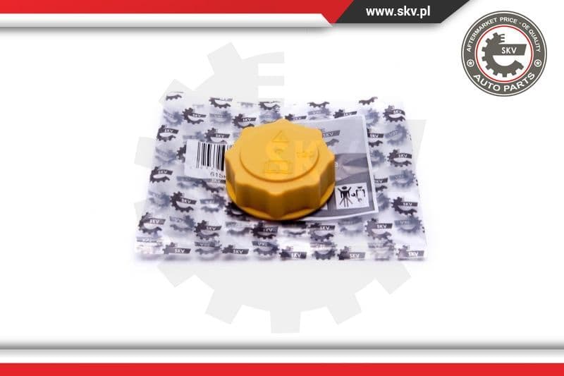 Cap, coolant tank 61SKV007