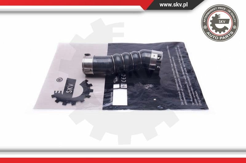 Intake Hose, air filter 43SKV931