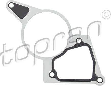 Gasket, vacuum pump 305 116