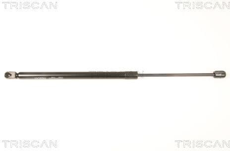 Gas Spring, boot/cargo area 8710 50244