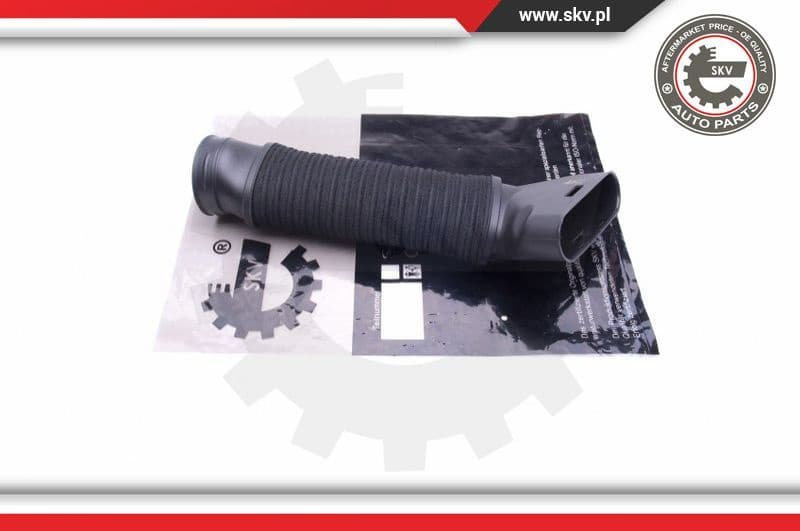 Intake Hose, air filter 43SKV918