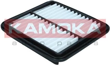 Air Filter F254601