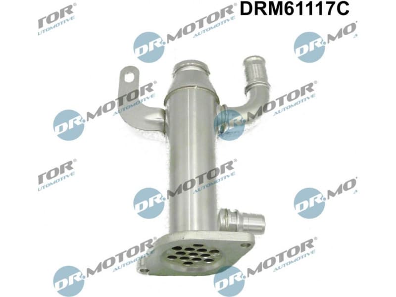 Cooler, exhaust gas recirculation DRM61117C