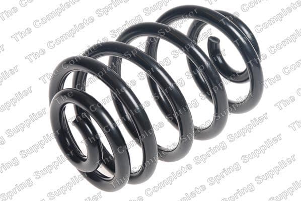 Suspension Spring 4208484