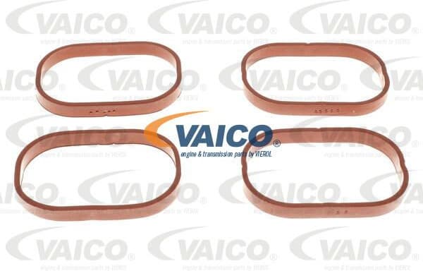 Intake Manifold Module Original VAICO Quality V203118 - image 2