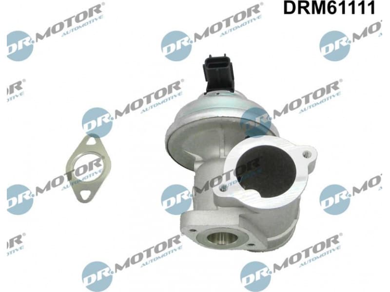 EGR Valve DRM61111