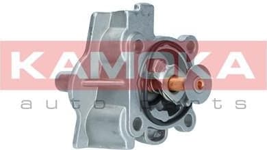 Thermostat, coolant 7710244