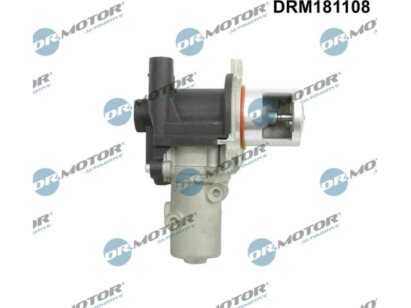 EGR Valve DRM181108