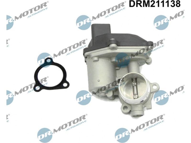 EGR Valve DRM211138