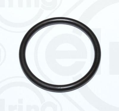 Gasket, coolant flange 027.480